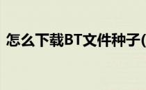 怎么下载BT文件种子(怎么下载BT种子文件)