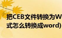 把CEB文件转换为WORD小技巧(ceb文件格式怎么转换成word)