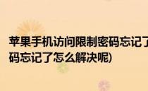 苹果手机访问限制密码忘记了怎么解决(苹果手机访问限制密码忘记了怎么解决呢)