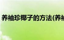 养袖珍椰子的方法(养袖珍椰子的方法有哪些)