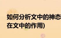 如何分析文中的神态描写及其作用(神态描写在文中的作用)