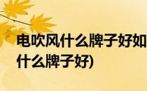 电吹风什么牌子好如何选购电吹风(电吹风用什么牌子好)