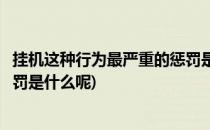 挂机这种行为最严重的惩罚是什么(挂机这种行为最严重的惩罚是什么呢)