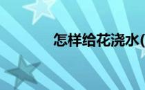 怎样给花浇水(怎样给花浇水)
