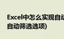 Excel中怎么实现自动筛选(excel中怎么实现自动筛选选项)