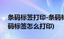条码标签打印-条码标签设计 最新教程(条形码标签怎么打印)