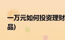一万元如何投资理财(一万元如何投资理财产品)