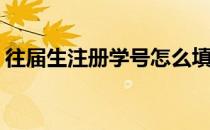 往届生注册学号怎么填(往届生填注册学号吗)