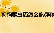 狗狗驱虫药怎么吃(狗狗驱虫药怎么吃效果好)