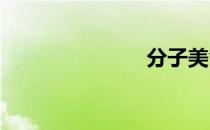 分子美食做法
