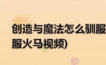 创造与魔法怎么驯服火马(创造与魔法怎么驯服火马视频)