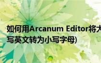 如何用Arcanum Editor将大写英文字母转成小写(如何将大写英文转为小写字母)