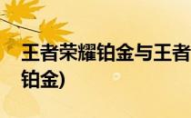 王者荣耀铂金与王者究竟差了什么(王者荣耀铂金)