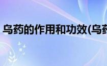 乌药的作用和功效(乌药的作用和功效与作用)