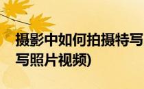 摄影中如何拍摄特写照片(摄影中如何拍摄特写照片视频)