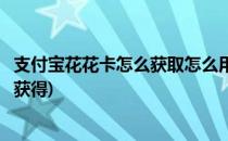支付宝花花卡怎么获取怎么用获取方法大全(支付宝花卡怎么获得)
