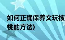 如何正确保养文玩核桃(如何正确保养文玩核桃的方法)