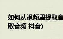 如何从视频里提取音频_01(如何从视频里提取音频 抖音)