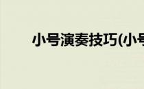 小号演奏技巧(小号演奏技巧有哪些)