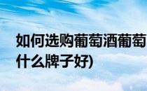 如何选购葡萄酒葡萄酒什么牌子好(葡萄酒买什么牌子好)