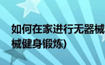 如何在家进行无器械健身(如何在家进行无器械健身锻炼)