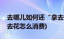 去哪儿如何还“拿去花”消费金额(去哪儿拿去花怎么消费)
