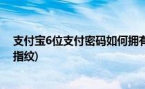 支付宝6位支付密码如何拥有(支付宝6位支付密码如何拥有指纹)