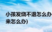 小孩发烧不退怎么办(小孩子发烧一直降不下来怎么办)