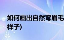 如何画出自然弯眉毛(如何画出自然弯眉毛的样子)