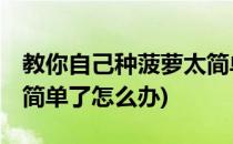 教你自己种菠萝太简单了(教你自己种菠萝,太简单了怎么办)