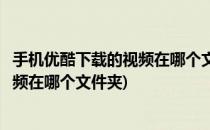 手机优酷下载的视频在哪个文件夹里面(用手机优酷下载的视频在哪个文件夹)