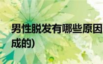 男性脱发有哪些原因(男性脱发有哪些原因造成的)