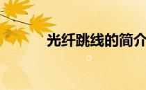 光纤跳线的简介(光纤跳线百科)