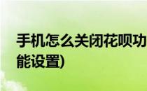 手机怎么关闭花呗功能(手机怎么关闭花呗功能设置)