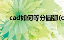 cad如何等分圆弧(cad等分圆弧的方法)
