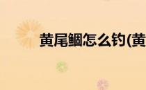 黄尾鲴怎么钓(黄尾鲴怎么钓视频)