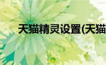 天猫精灵设置(天猫精灵设置使用时间)