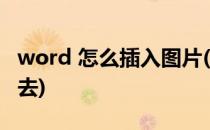 word 怎么插入图片(word文档怎么插图片进去)