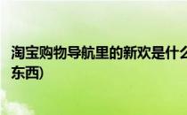 淘宝购物导航里的新欢是什么(淘宝购物导航里的新欢是什么东西)