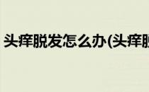 头痒脱发怎么办(头痒脱发怎么办最快最有效)