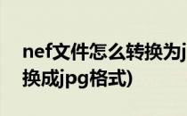 nef文件怎么转换为jpg文件(nef怎么批量转换成jpg格式)