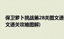 保卫萝卜挑战第28关图文通关攻略(保卫萝卜挑战第28关图文通关攻略图解)