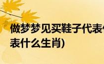 做梦梦见买鞋子代表什么(做梦梦见买鞋子,代表什么生肖)