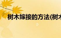 树木嫁接的方法(树木嫁接的方法有几种)