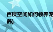 百度空间如何领养宠物(QQ空间宠物怎么领养)