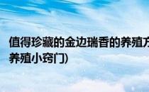 值得珍藏的金边瑞香的养殖方法之七大养殖技巧(金边瑞香的养殖小窍门)