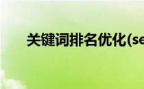 关键词排名优化(seo关键词排名优化)
