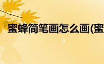 蜜蜂简笔画怎么画(蜜蜂简笔画怎么画好看)