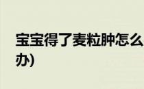 宝宝得了麦粒肿怎么办(宝宝得了麦粒肿怎么办)
