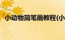 小动物简笔画教程(小动物简笔画教程可爱)